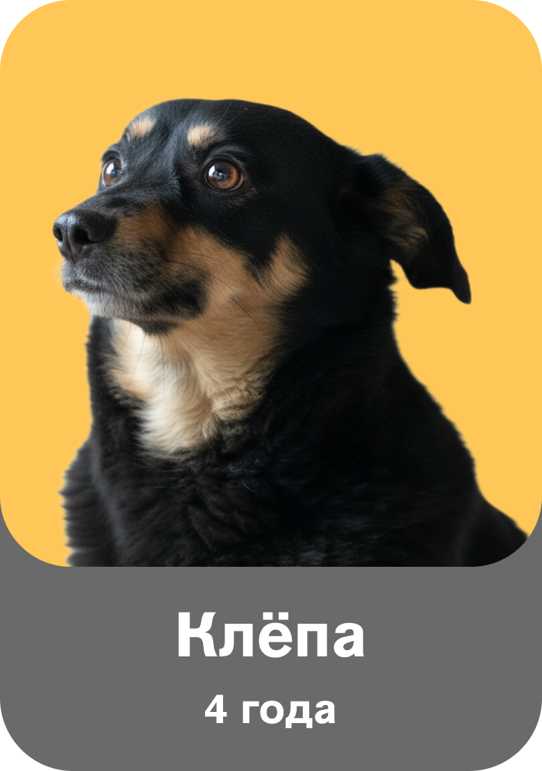 Клёпа
